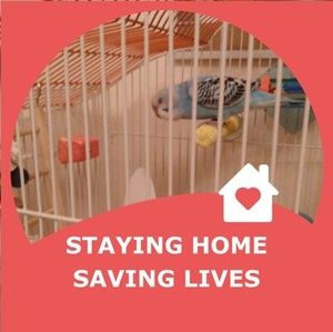 Meet your Posher, Leanne